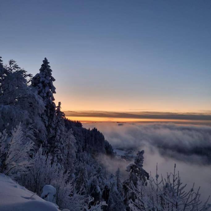 Le Montagnard Lejlighed Mijoux Eksteriør billede